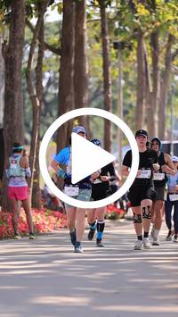 BIB:  <button type="button" onclick="openModal(27614592)" class="btn btn-primary btn-sm float-right" data-toggle="modal" data-target=".modal-high-quality">
                <i class="fa fa-download"></i> Download
                </button>